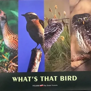 What’s That Bird (4CD) Recognising Birds by Their Songs and Calls