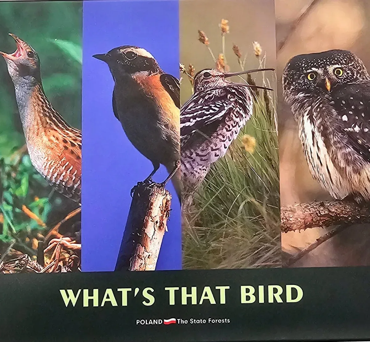 What’s That Bird (4CD) Recognising Birds by Their Songs and Calls