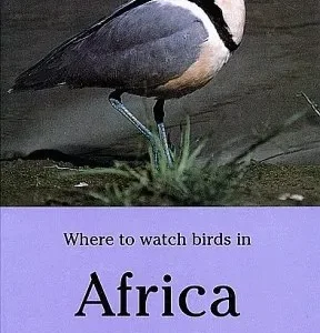 Where to Watch Birds in Africa – Nigel Wheatley 2000