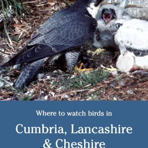 Where to Watch Birds in Cumbria, Lancashire & Cheshire – Guest, J. 2.p. 1997