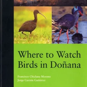 Where to Watch Birds in Doñana – Francisco Chiclana Moreno (2006)