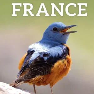 Where to Watch birds in France, Barnagaud J.-Y. ym, 2019