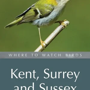 Where to Watch Birds in Kent, Surrey, Sussex – Taylor, D. 2009