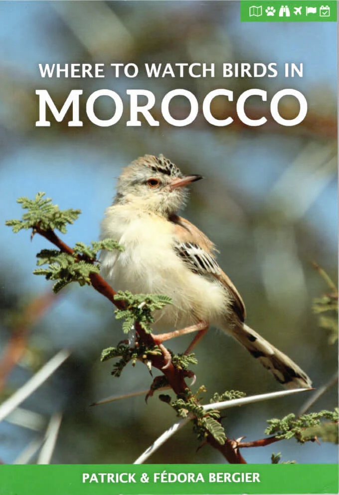 Where to Watch Birds in Morocco – Bergier, P. ja F., 2017 - Image 2