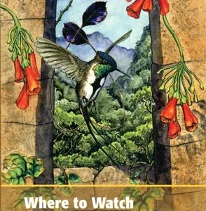 Where to watch birds in Peru – Valqui, T. 2004