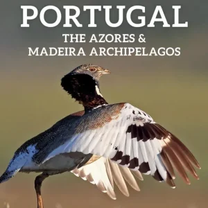 Where to watch Birds in Portugal – The Azores & Madeira Archipelagos – Moore,C. 2020