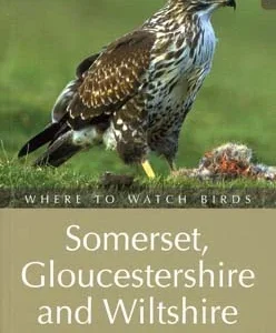Where to Watch Birds – Somerset, Gloucestershire and Wiltshire – Hall,K. 2003