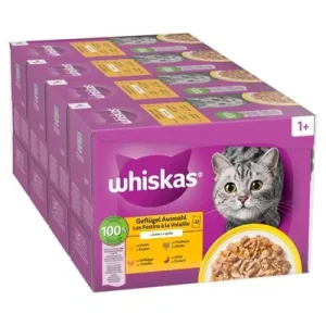 Whiskas 1+ Adult Pouches -säästöpakkaus 48 x 85 g siipikarjavalikoima hyytelössä