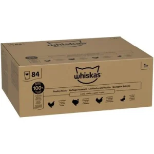 Whiskas 1+ Adult -pussit 84 x 85 g siipikarjaruoat hyytelössä