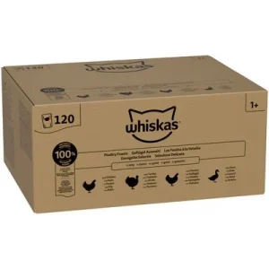Whiskas Adult siipikarjalajitelma hyytelössä 120 x 85 g siipikarjalajitelma hyytelössä