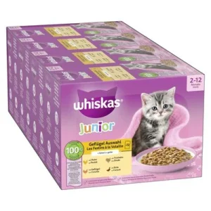 Whiskas Junior Pouches -säästöpakkaus 144 x 85 g siipikarjavalikoima hyytelössä