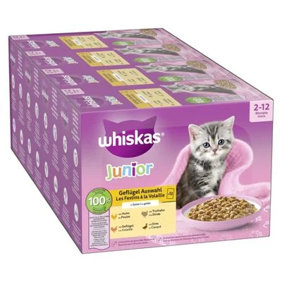 Whiskas Junior Pouches -säästöpakkaus 144 x 85 g siipikarjavalikoima hyytelössä