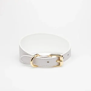 White Dog Collar Wide