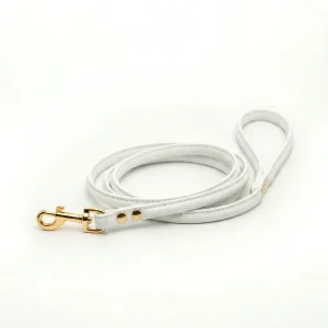 White Dog Lead