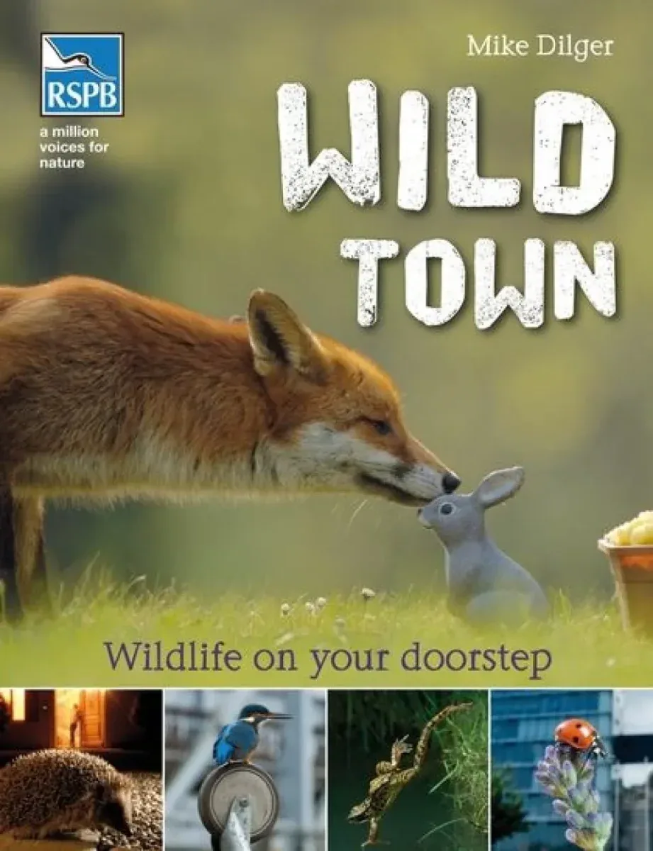 Wild town – Wildlife on your doorstep (Dilger)