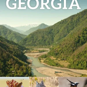 Wildlife Guide to Georgia