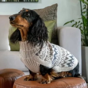 Woolly Winter Knit alpakkaneule koiralle
