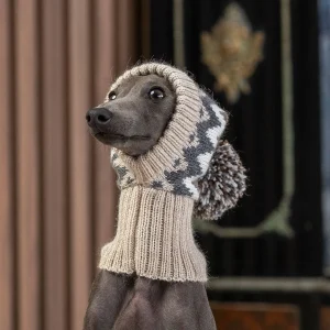 Woolly Winter koiran alpakkapipo