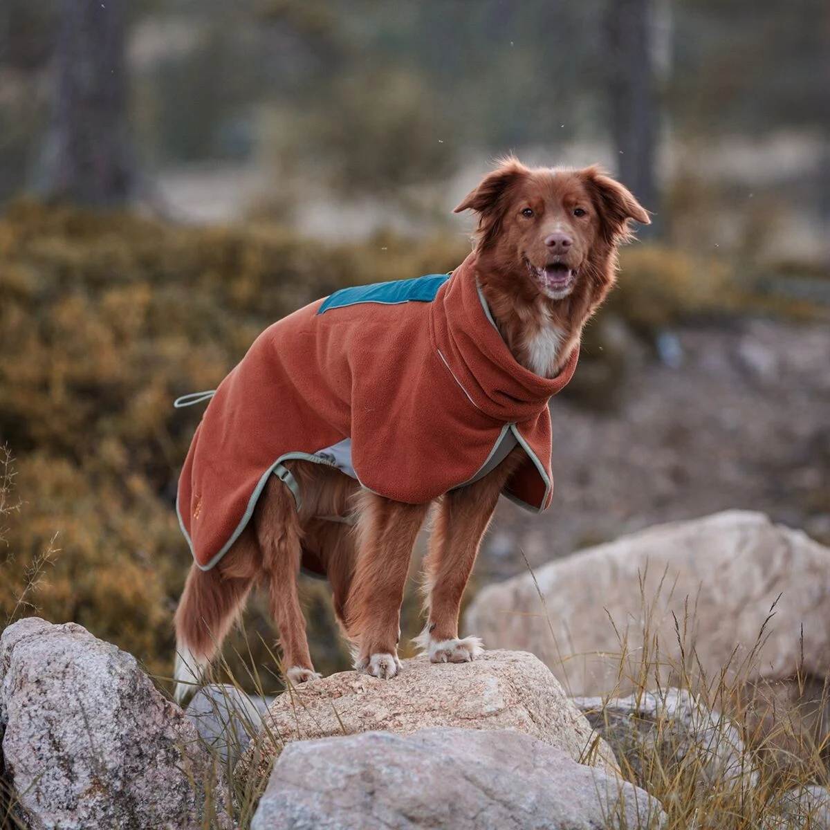 Woolly Wolf Alpha 360 Koiran fleecepusakka, Terracotta Mix