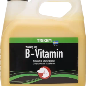 Working Dog B-Vitamiini 3L