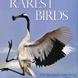 World’s rarest birds – Hirschfeld, E., Swash, A. & Still, R. 2013