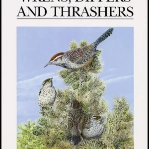 Wrens, Dippers and Thrashers (Brewer, D. ym. 2001)