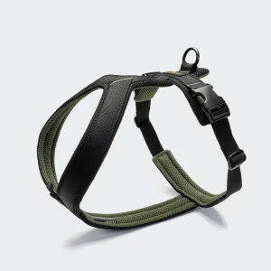 Y-1 AKTIV Air-Mesh -valjaat, musta