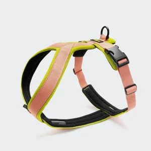 Y-1 AKTIV Air-Mesh -valjaat, persikka