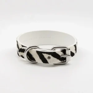 Zebra Dog Collar Thin