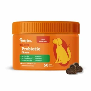 Zesty Paws Probiotic Chews kurpitsa 50 purutablettia